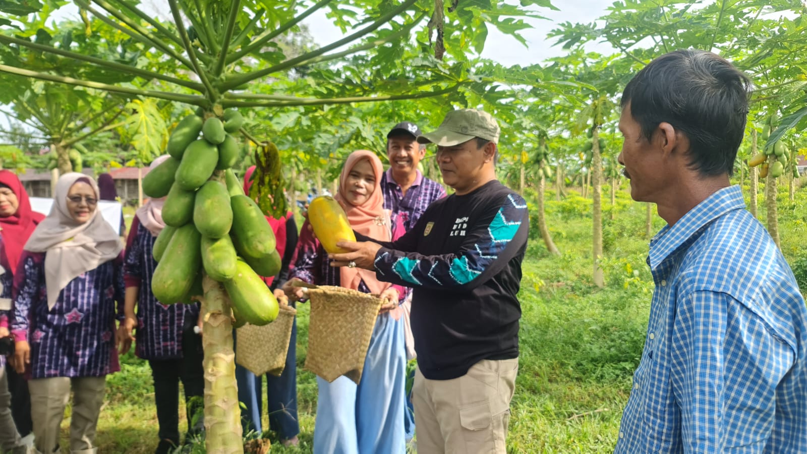 Kawasan Investasi Layanan Perkebunan 2